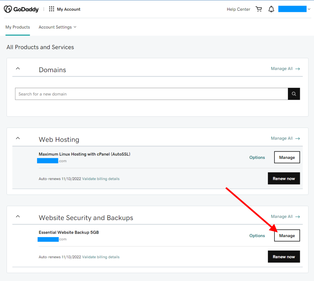 GoDaddy's Essential Website Backup service